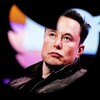 Elon Musk à travers l'oiseau de Twitter. 
