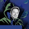 Un pirate informatique se couvre le visage avec une image d'Elon Musk.