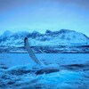 A whale fin sticks of ocean water with a snowy mountain in the background. 