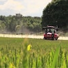 Un tracteur épand du glyphosate sur un champ de blé.