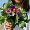 Un bouquet de fleurs tenu par Mylène Montplaisir, en arrière-plan.