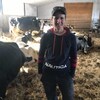 Annick Gauthier en compagne de ses vaches de la ferme à  Lorrainville.