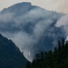 De la fumée qui s'échappe d'une forêt et un hélicoptère bombardier d'eau.