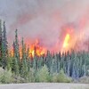 Un feu de forêt.