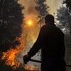 Un homme, de dos, devant un feu de forêt.