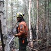 Un pompier éteint un feu de forêt.