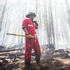 Un pompier travaille sur les lieux du feu de forêt dans la région de Tantallon.