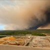 Incendie de foret 
