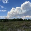 Le panache de fumée d'un feu de forêt.