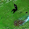 Une image satellite d'un feu.