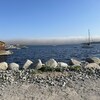 Paysage montrant de l'eau et de la fumée. 