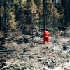 Un pompier à l’œuvre près de Chapais, dans le nord du Québec.