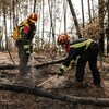 Des pompiers combattent un incendie de forêt dans le sud-ouest de la France.
