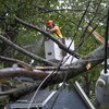 Un arboriculteur à bord d’un engin si une branche d’arbre pour dégager les dégâts fait par le passage d’une tempête.