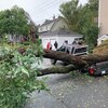 Un arbre est tombé sur une camionnette. 