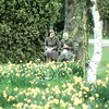 Deux religieuses assises sur un banc de parc, entourées de massifs de fleurs.