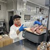 Le boucher Stephen Linardi pèse des saucisses de porc fraîches dans son commerce situé au coeur de la Ford Nation.