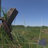 Un fossé en bord de route avec un peu d'eau. 