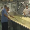 Des travailleurs s'affairent dans la fromagerie.