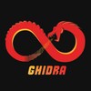 Le logo de Ghidra, composé d'un dragon rouge formant le symbole de l'infini avec son corps.