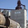 Un train avec des wagons à grain devant un élévateur à grain de l'entreprise Viterra.