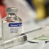 Une fiole de vaccin antigrippal et une seringue