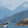 Des visiteurs naviguent en canoë dans l’archipel Haida Gwai, en Colombie-Britannique.