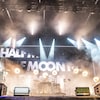 Le groupe Half Moon Run en prestation à Osheaga.