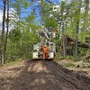 Des employés d'Hydro-Québec travaillent en forêt. 