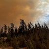 L'incendie de forêt dans la région de Carberry Portage 