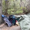 Un campement sans tente au pied d'un arbre. 