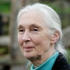 Gros plan de la primatologue Jane Goodall.