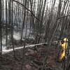 Un pompier, vêtu d'un uniforme jaune, avance dans une forêt brulée avec son boyau d'arrosage.