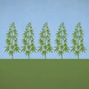 image infographique de plant de cannabis dans un champ.