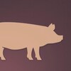 Image infographique d'un porc.