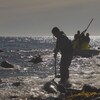 Des chasseurs récupèrent un phoque sur les berges des Îles-de-la-Madeleine.