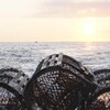 Casiers de pêche aux homards sur le pont d'un bateau au soleil levant.