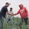 Deux hommes se serrent la main dans un champ agricole.