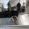 Deux personnes dans un laboratoire.