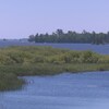 Les berges d'un lac