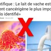 Capture d’écran d’un article intitulé « Le lait de vache est l’agent cancérigène le plus important jamais identifié » 