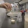 Une personne dans un laboratoire verse du lait dans un contenant.