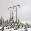 Des lignes à haute tension dominent une forêt d'arbres enneigés sur la montagne Cypress au nord de Vancouver