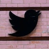 Le logo de Twitter sur un mur en briques.