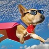 Un chien avec des lunettes et une cape vole dans le ciel. L'image est de mauvaise qualité et un peu dystopique.