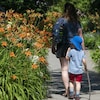 Une famille marche dans les rues fleuries de Montréal.