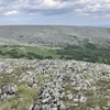 Un paysage du nord-est du mont Jacques-Cartier qui présente des roches et des petits arbustes. 