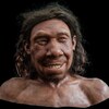 Reconstitution du visage d'un Néandertalien.