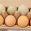 Des œufs fermiers de toutes les couleurs.