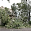 Le vent a cassé cet arbre qui est allé s'écraser sur un coin de la résidence de Ron Ward à Beaubassin-Est.